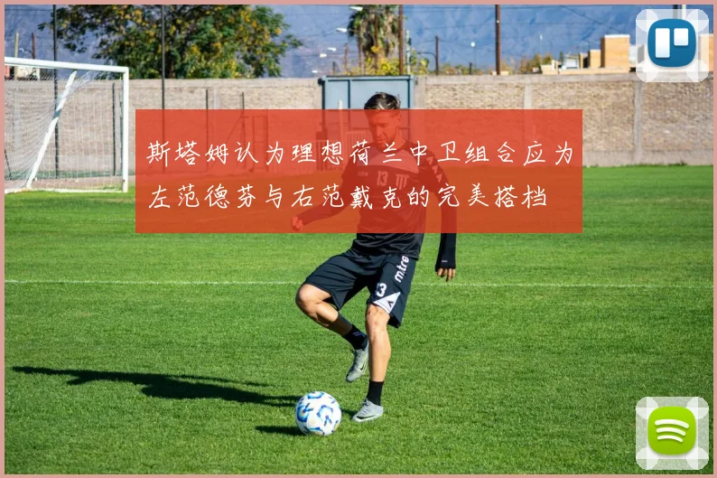 斯塔姆认为理想荷兰中卫组合应为左范德芬与右范戴克的完美搭档