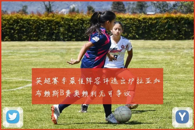 英超赛季最佳阵容评选出炉拉亚加布赖斯B费奥赖利无可争议